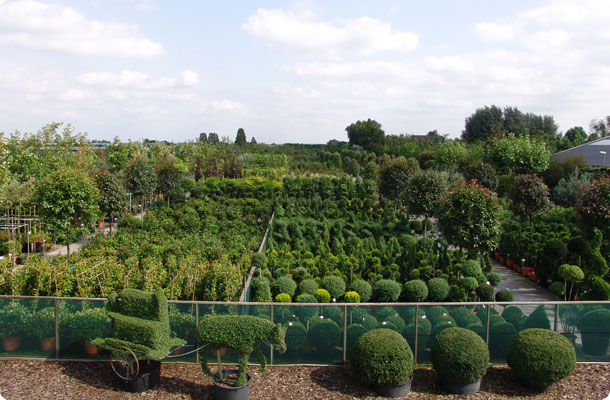 nederhoff plant ons bedrijf2